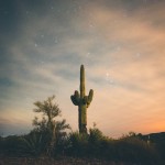 Night photography at Tortilla Flat/Canyon Lake, Arizona -- That's a saguaro cactus!