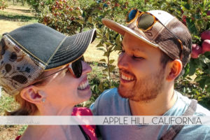 Apple Hill Anniversary