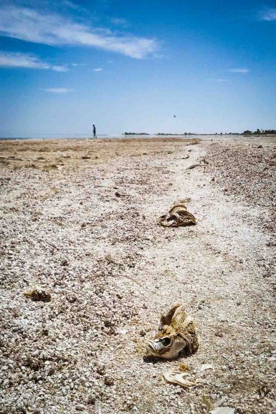 Salton Sea, California, USA on northtosouth.us