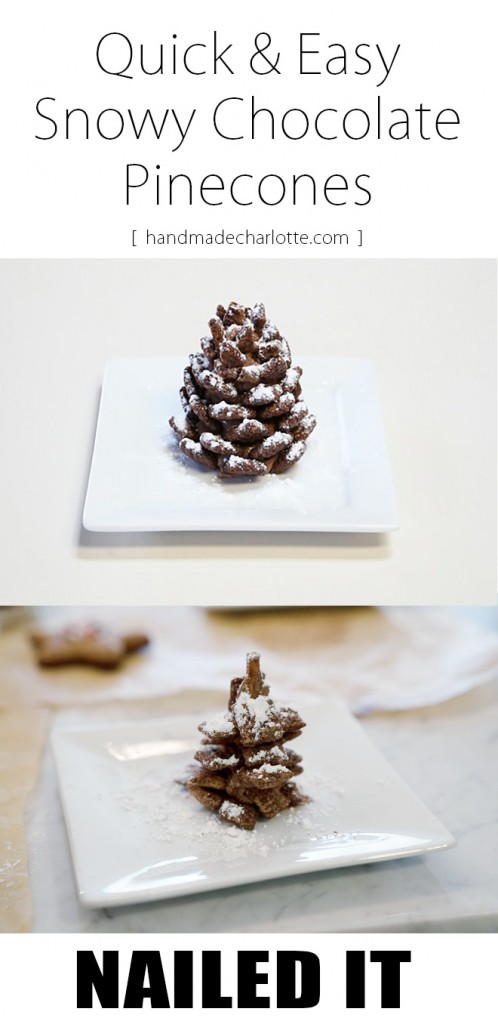 NAILED IT: Quick and Easy Snowy Pinecones