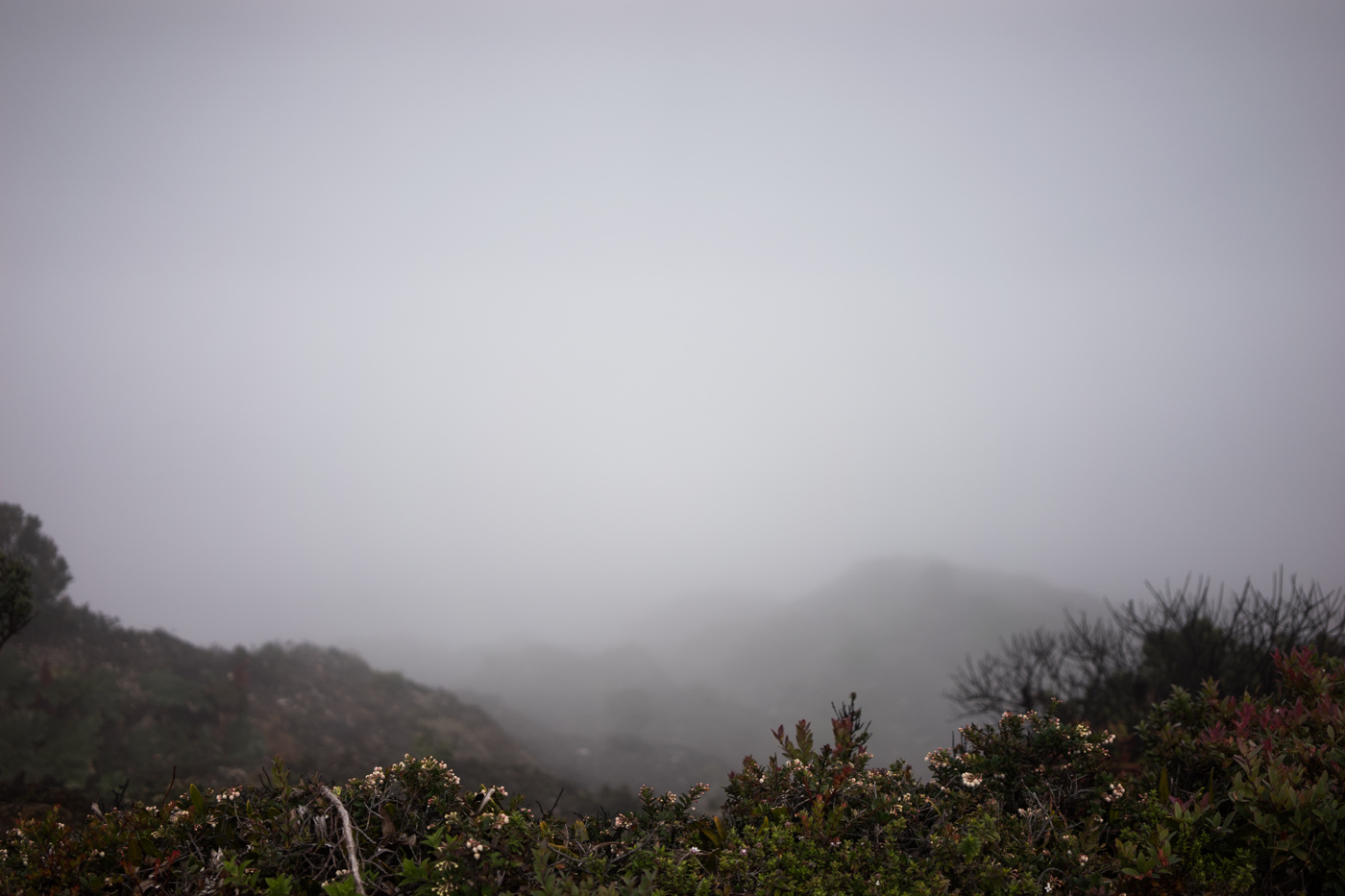 Poas Volcano in the fog and rain