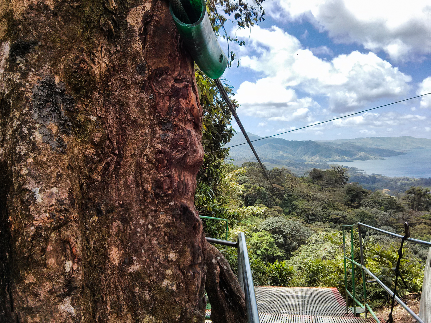 ziplining view on Sky Trek with Sky Adventures Arenal, Costa Rica