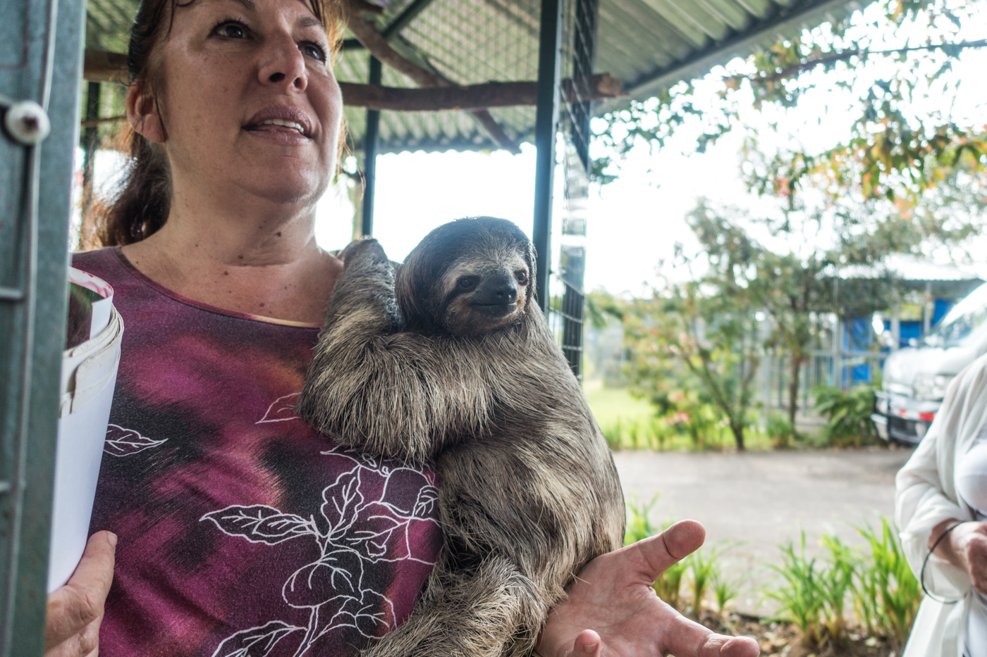 Leslie, Director of the Toucan Rescue Ranch, with a three-toed female sloth