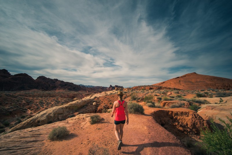 White Domes trail, Valley of Fire State Park