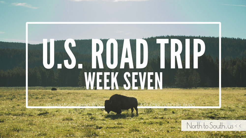 North to South U.S. road trip recap week seven