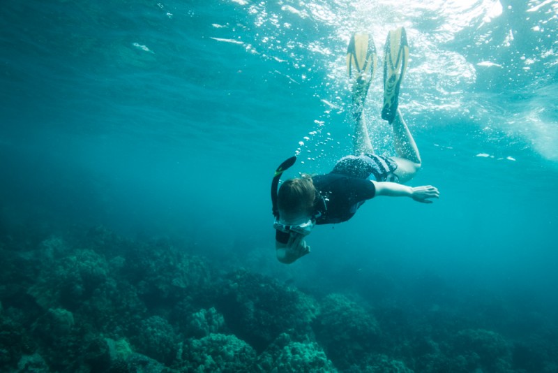 Snorkeling at Two Steps in Honaunau Bay, Big Island Hawaii