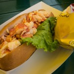 cold lobster roll in Maine