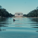 North to South U.S. road trip recap week eighteen | Lincoln Memorial Reflecting Pool duck