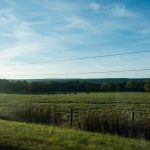 U.S. Road Trip Re-Cap: Week Nineteen -- green pastures in West Virginia