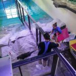 Clearwater Marine Aquarium, Florida