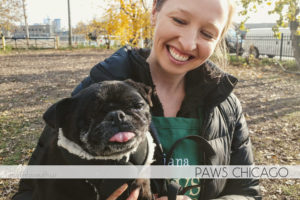 Volunteering at PAWS Chicago
