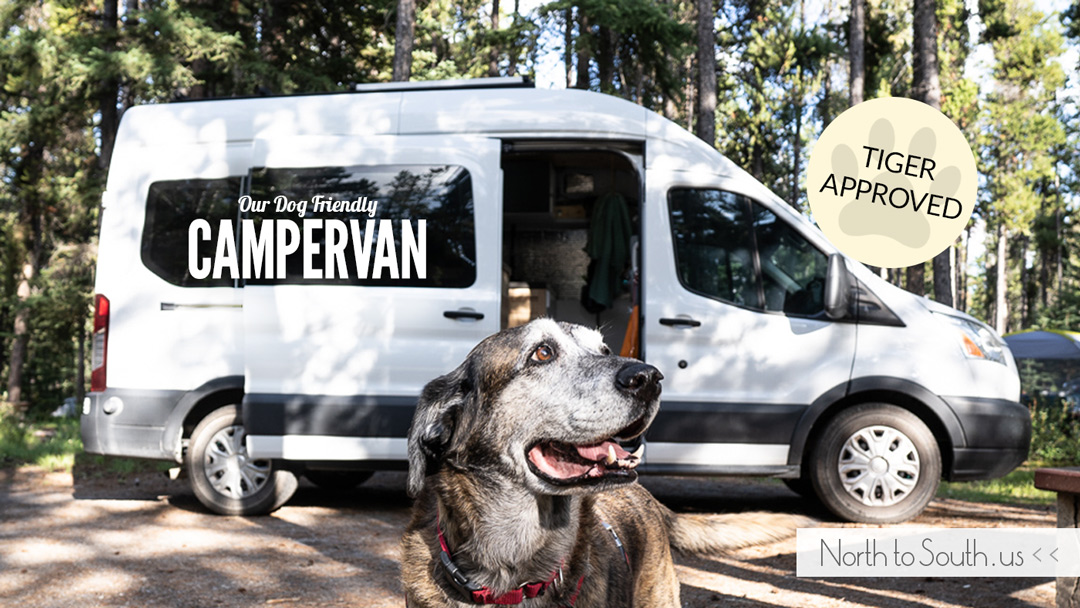 The Dog-Friendly Features of Our Campervan | northtosouth.us
