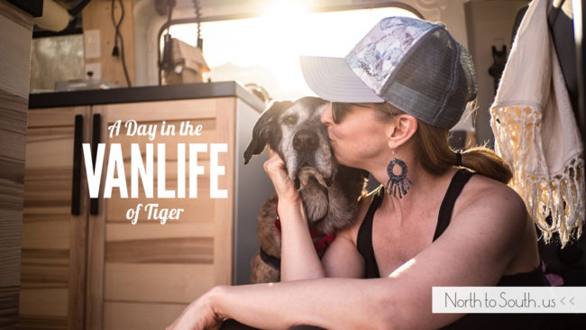A Day in the VanLife of Tiger: The Importance of Routine