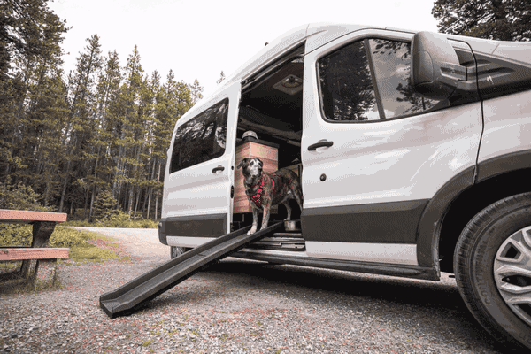 Tiger's campervan dog ramp gif | North to South