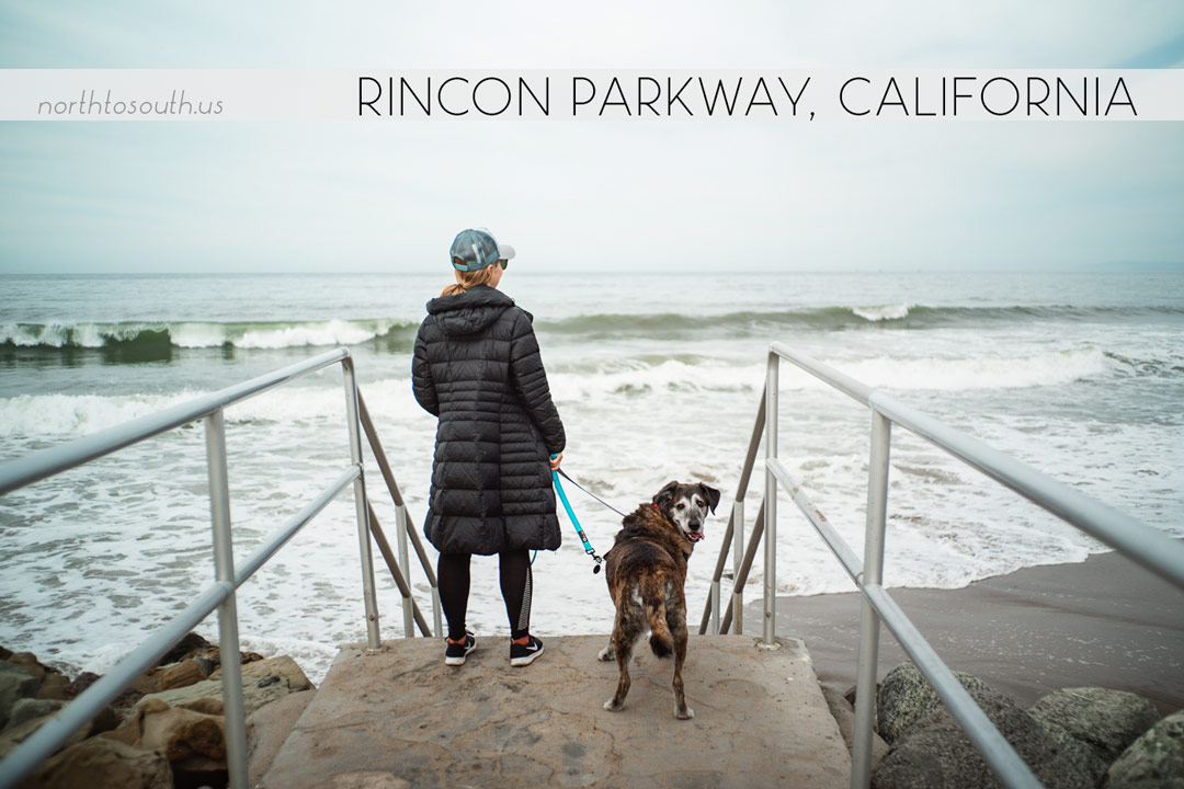 North to South's Year in Review 2019 | Rincon Parkway, California with Tiger