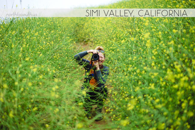 North to South's Year in Review 2019 | Simi Valley wildfire regrowth