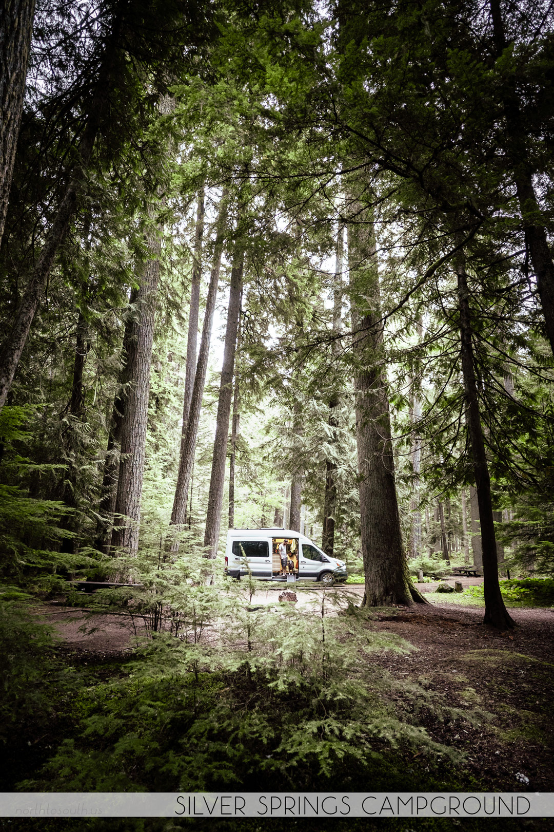 North to South's Year in Review 2019 | Silver Springs Campground, Mt Rainier National Park