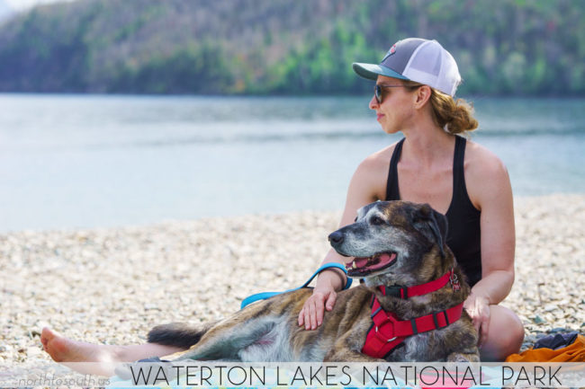 North to South's Year in Review 2019 | Waterton Lakes National Park, Canada