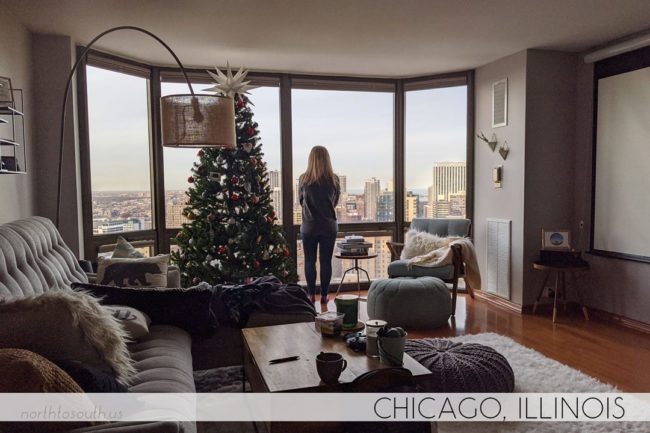 North to South's Year in Review 2019 | Chicago Home