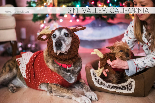 North to South's Year in Review 2019 | Christmas in Simi Valley, Reindeer Dogs