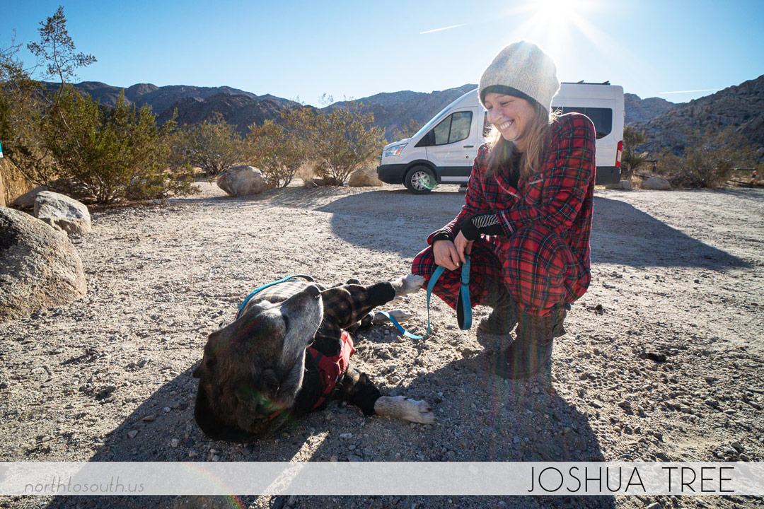 North to South's Year in Review 2019 | Camping at Joshua Tree with Tiger