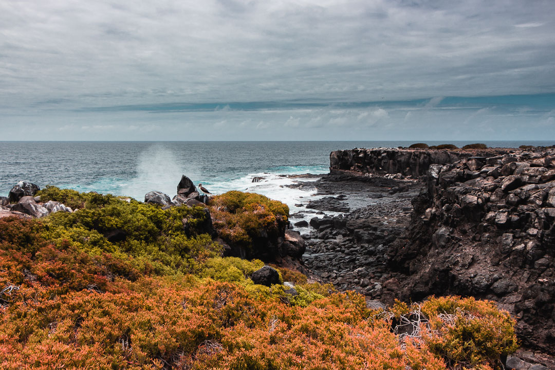 Best Camera Gear for the Galápagos Islands - Canon EOS 700D + 18-135mm STM, Punta Suarez, Española Island