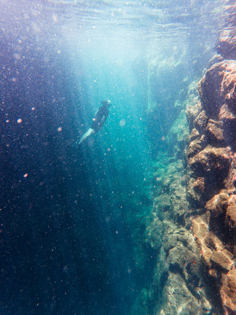 Ian free-diving in the Las Grietas lagoons on Santa Cruz Island