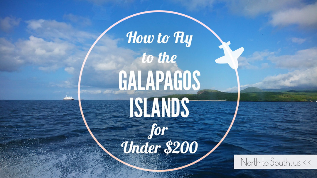 How to Fly to the Galapagos Islands for Under $200