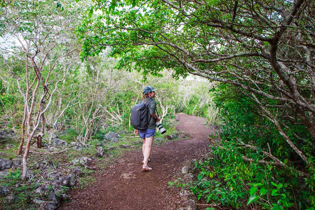 What to Pack for the Galápagos Islands: walking in the highlands